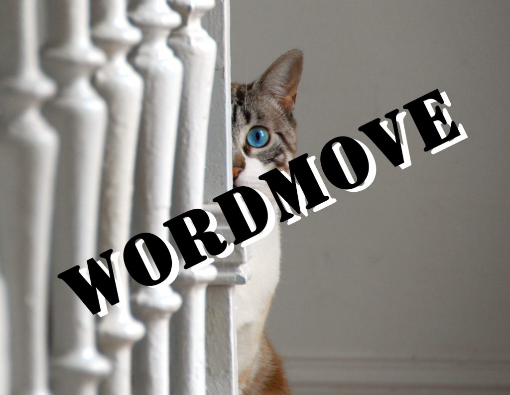 wordmove各種コマンド
