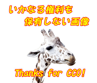 いかなる権利も保有しない画像CC0