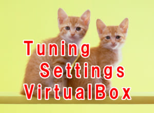 virtualbox-tuning-settings