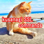 kusanagi-ssl-3-commands