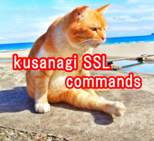 kusanagi-ssl-3-commands