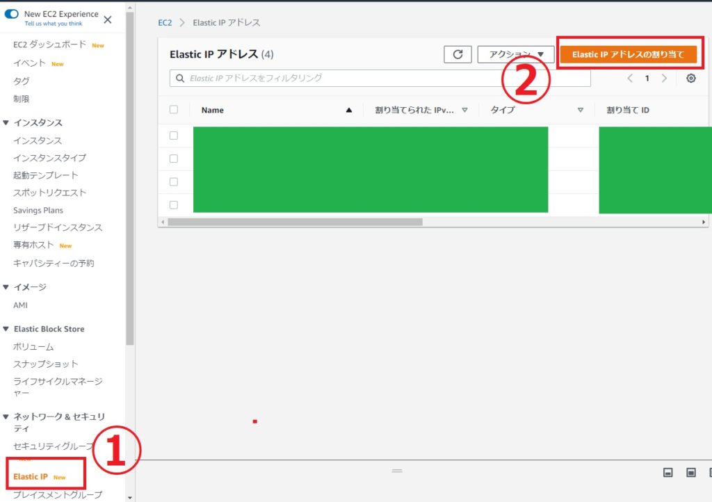 Elastic IP